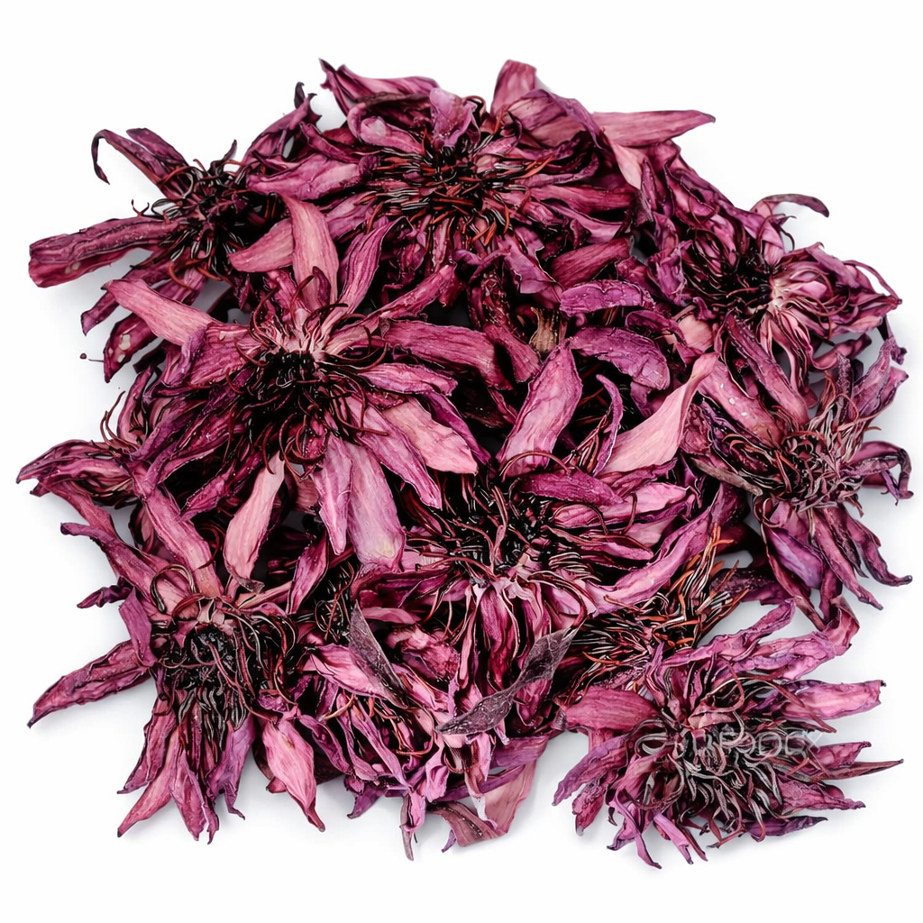 Red Lotus