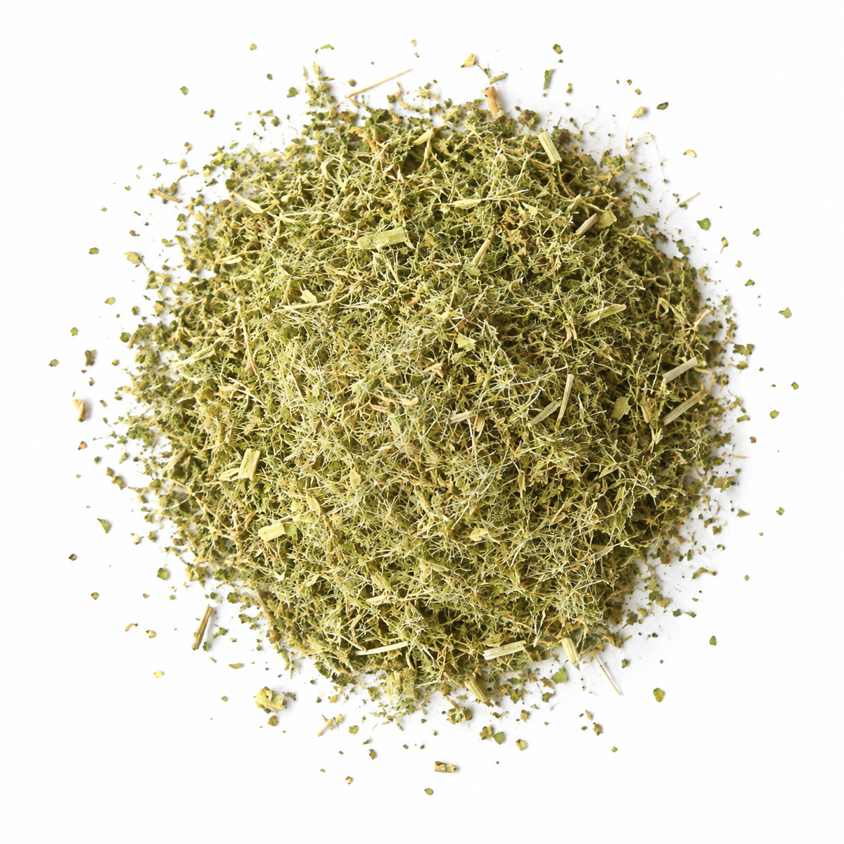 Blessed Thistle