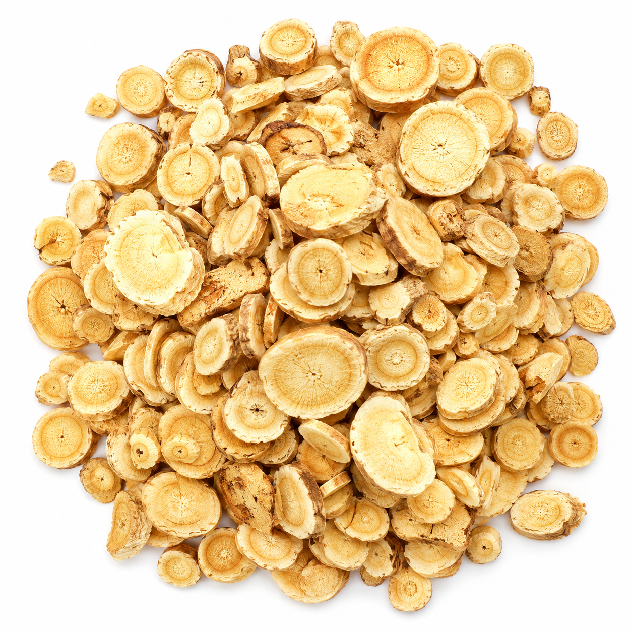 Astragalus Root