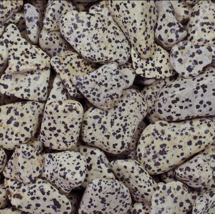 Dalmatian jasper stone, an energizing and grounding crystal for vitality and focus