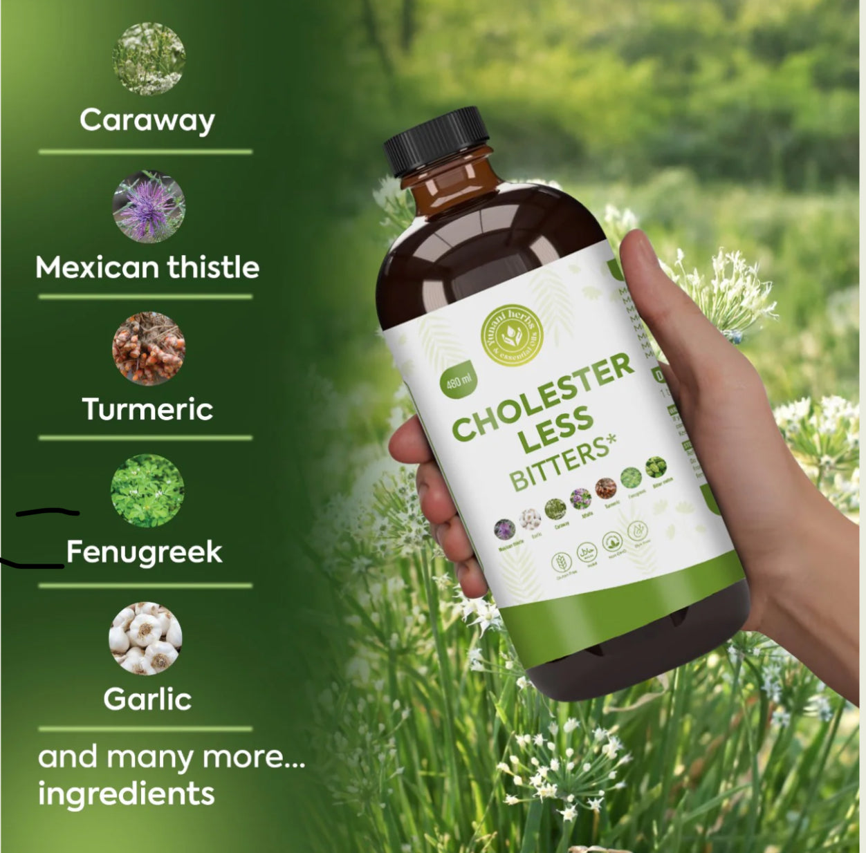 Cholester Less Bitters