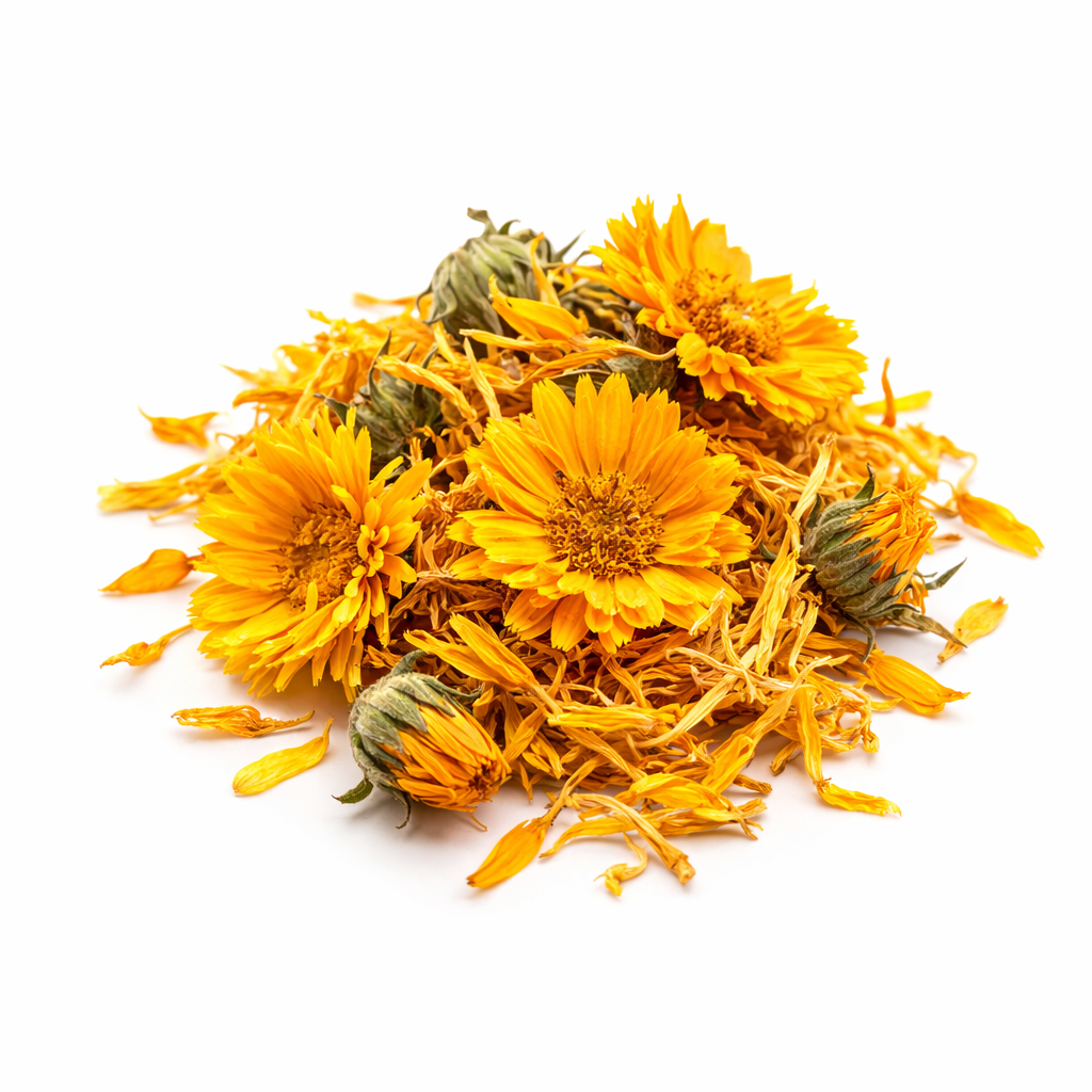 Calendula Flowers