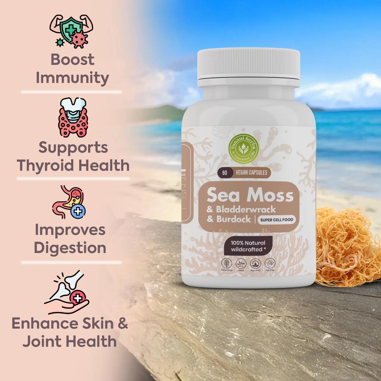 Sea Moss Capsules