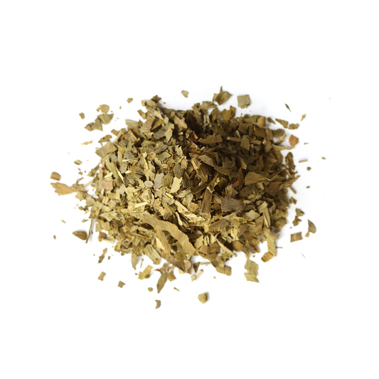 Ginkgo Leaf