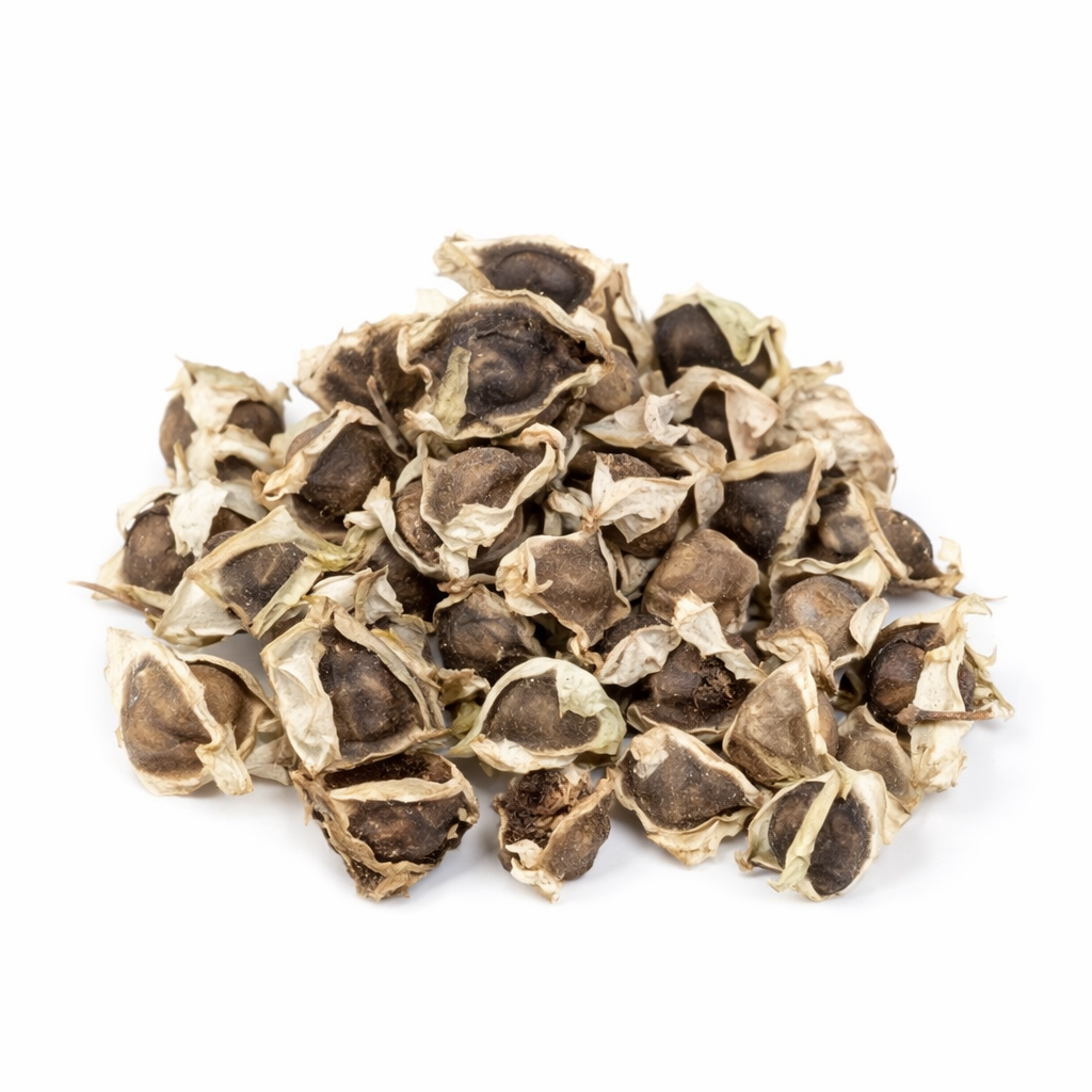 Moringa Oleifera Seed