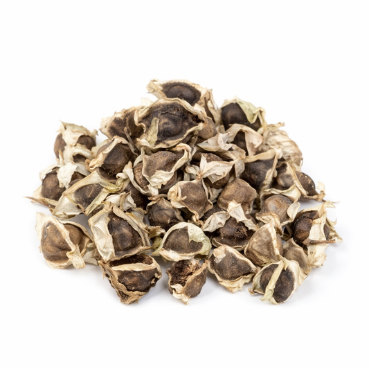 Moringa Oleifera Seed