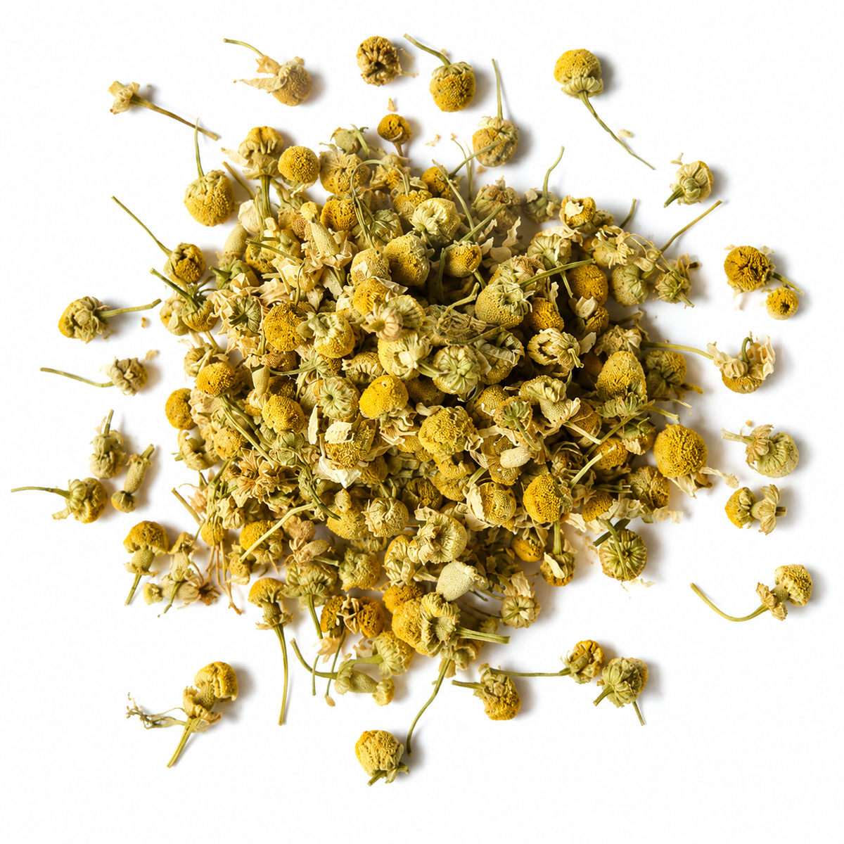 Chamomile Flower