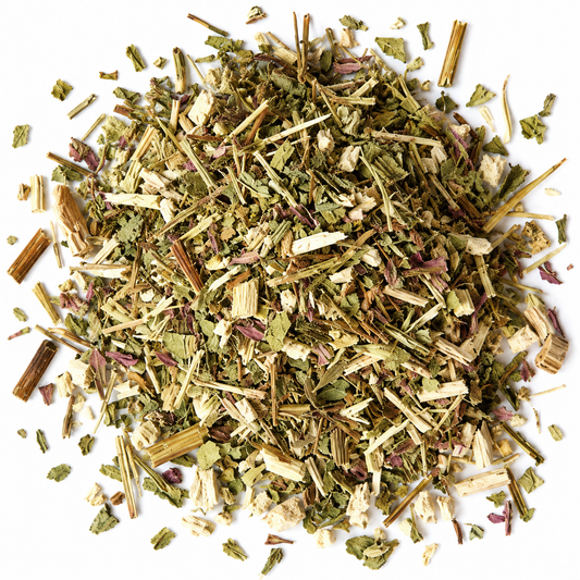 Echinacea