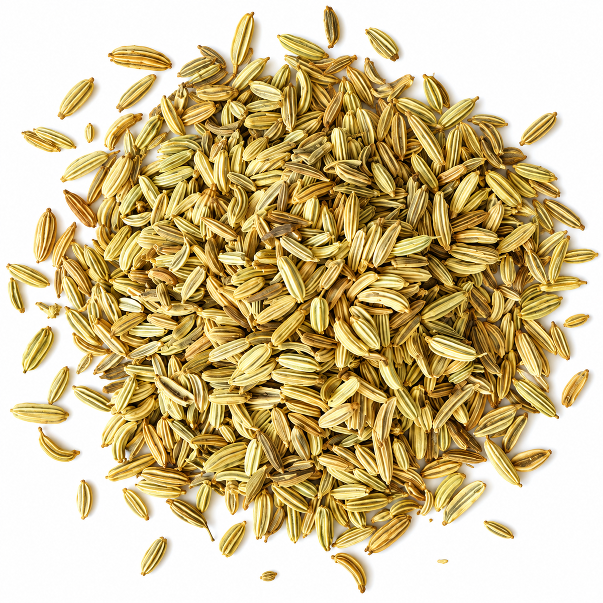 Fennel Seed