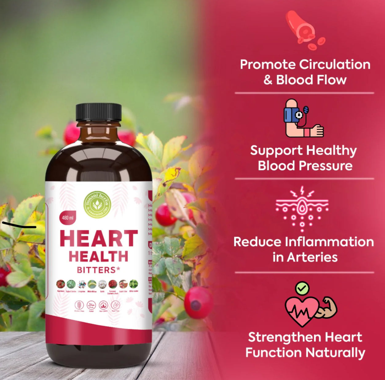 Heart Health Bitters Lower Blood Pressure