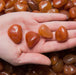 Carnelian stone, an energizing and grounding crystal for vitality and creativity

