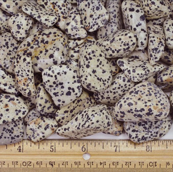 Smooth, tumbled dalmatian jasper with a black and white spotted pattern