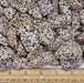 Smooth, tumbled dalmatian jasper with a black and white spotted pattern