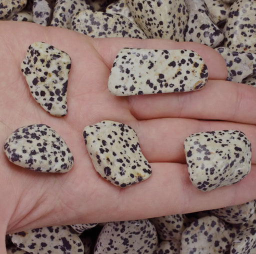 Tumbled dalmatian jasper crystal, perfect for meditation or energy healing