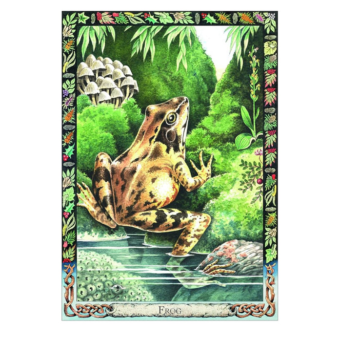 The Druid Animal Oracle Deck