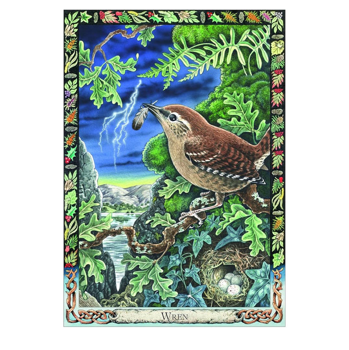 The Druid Animal Oracle Deck