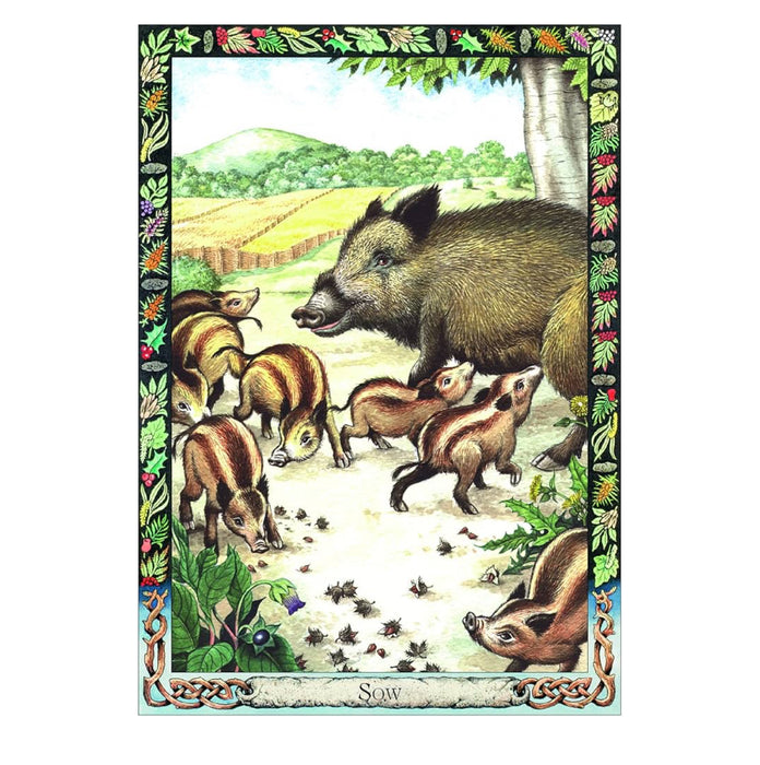 The Druid Animal Oracle Deck