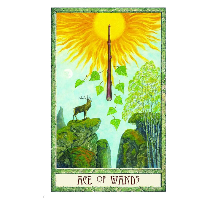 The Druid Craft Tarot Deck