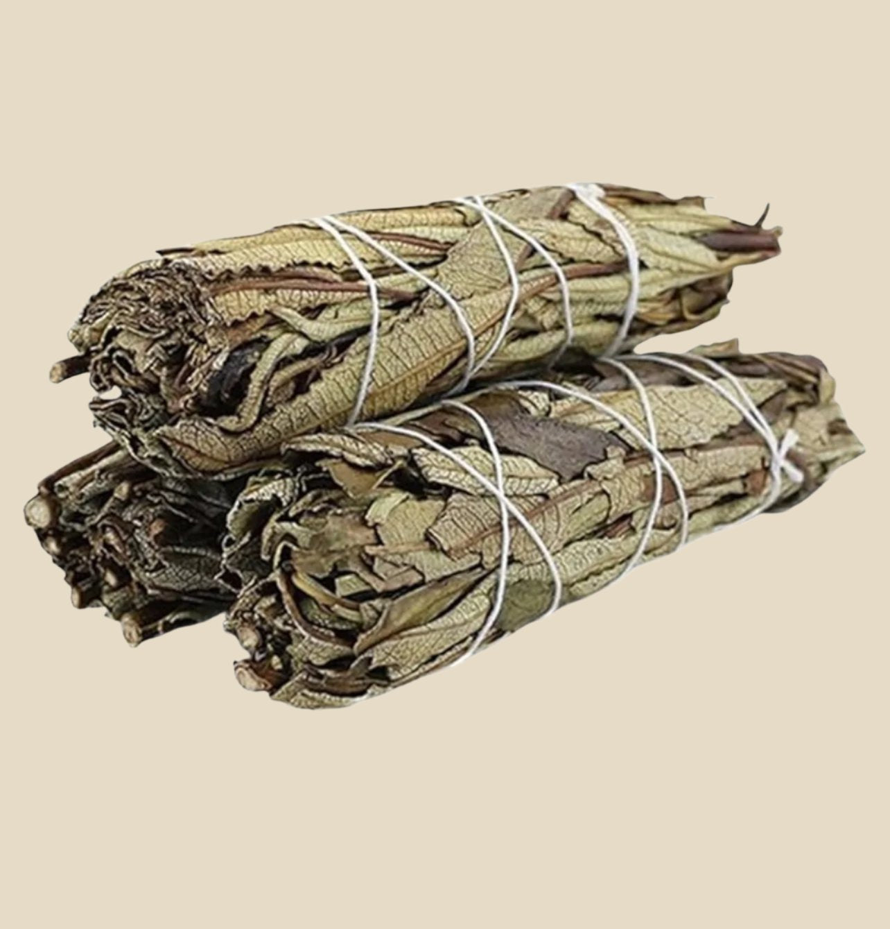 Yerba Santa Smudge Stick with bundled Yerba Santa leaves tied with twine.