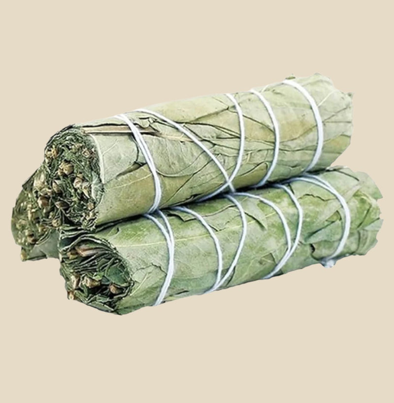 Eucalyptus Smudge Stick with green leaves, bound by natural twine, for cleansing rituals.