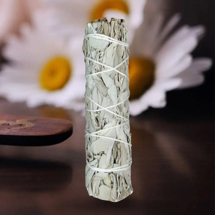 10cm White Sage Bundle