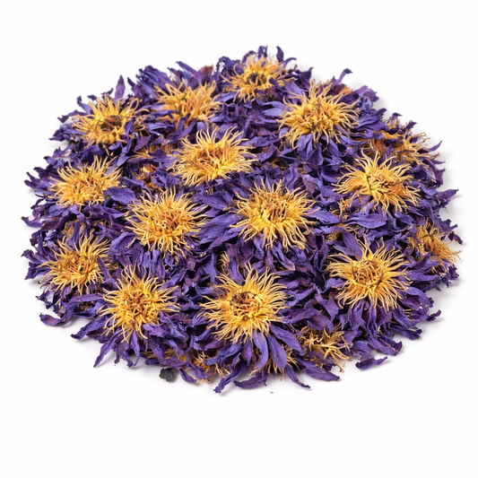 Blue Lotus Flower (Nymphaea Caerulea)