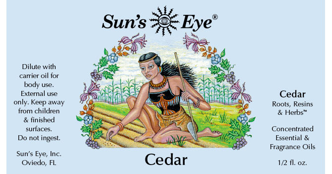 Cedar Essential Oil - Sun's Eye