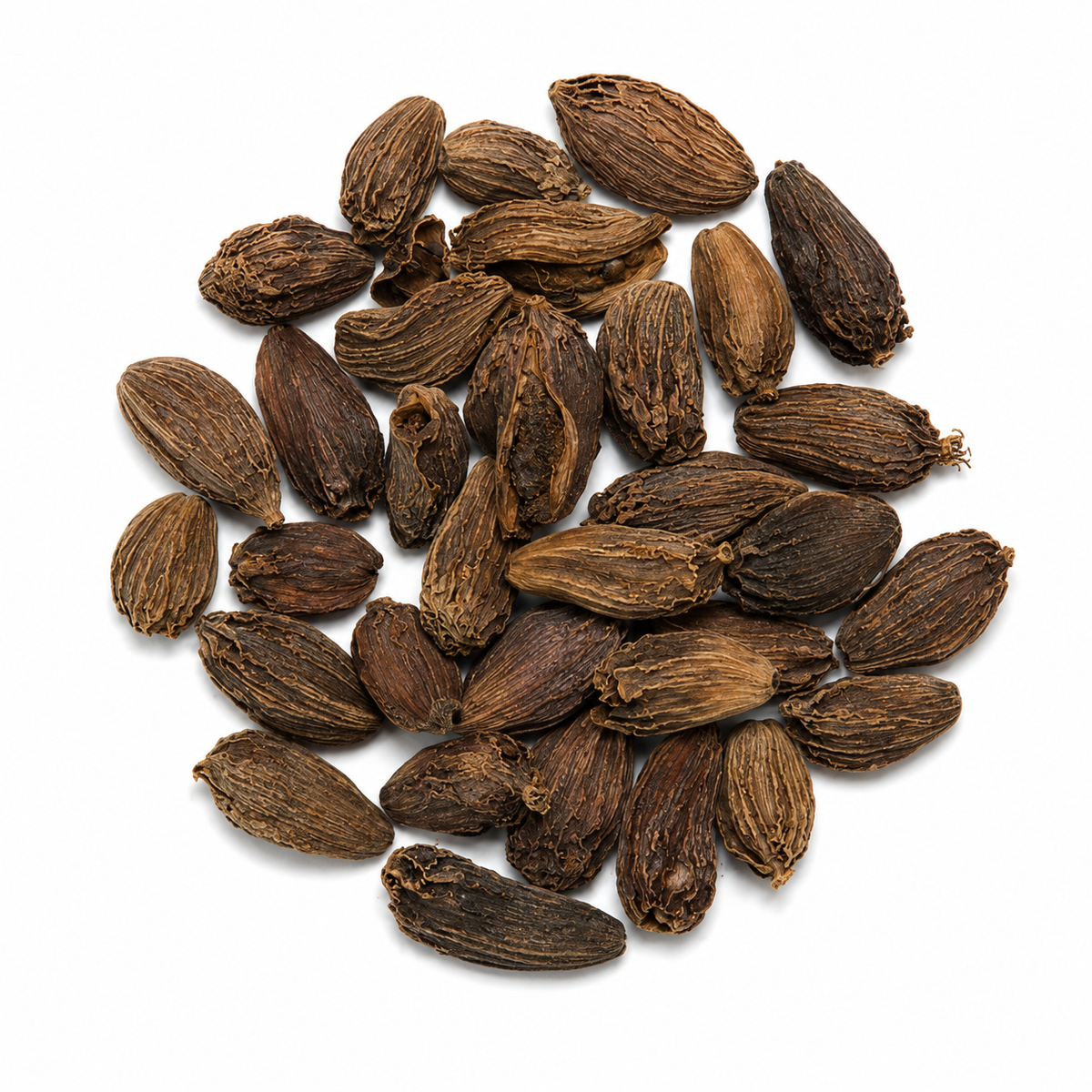 Cardamom Seeds (Organic)