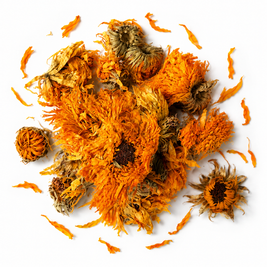 Calendula Flower
