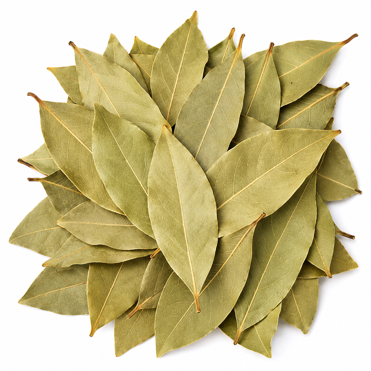 Bay Leaves